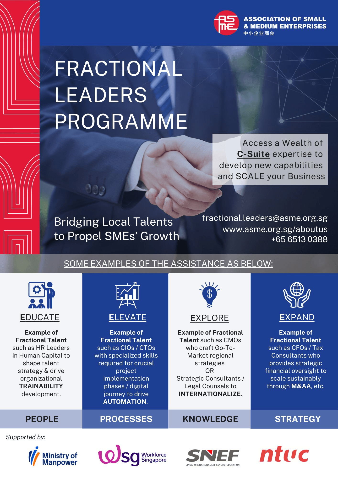 Fractional Leaders Programme infographic